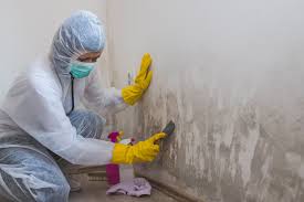 Best Mold Remediation for Healthcare Facilities  in Cleveland, TX